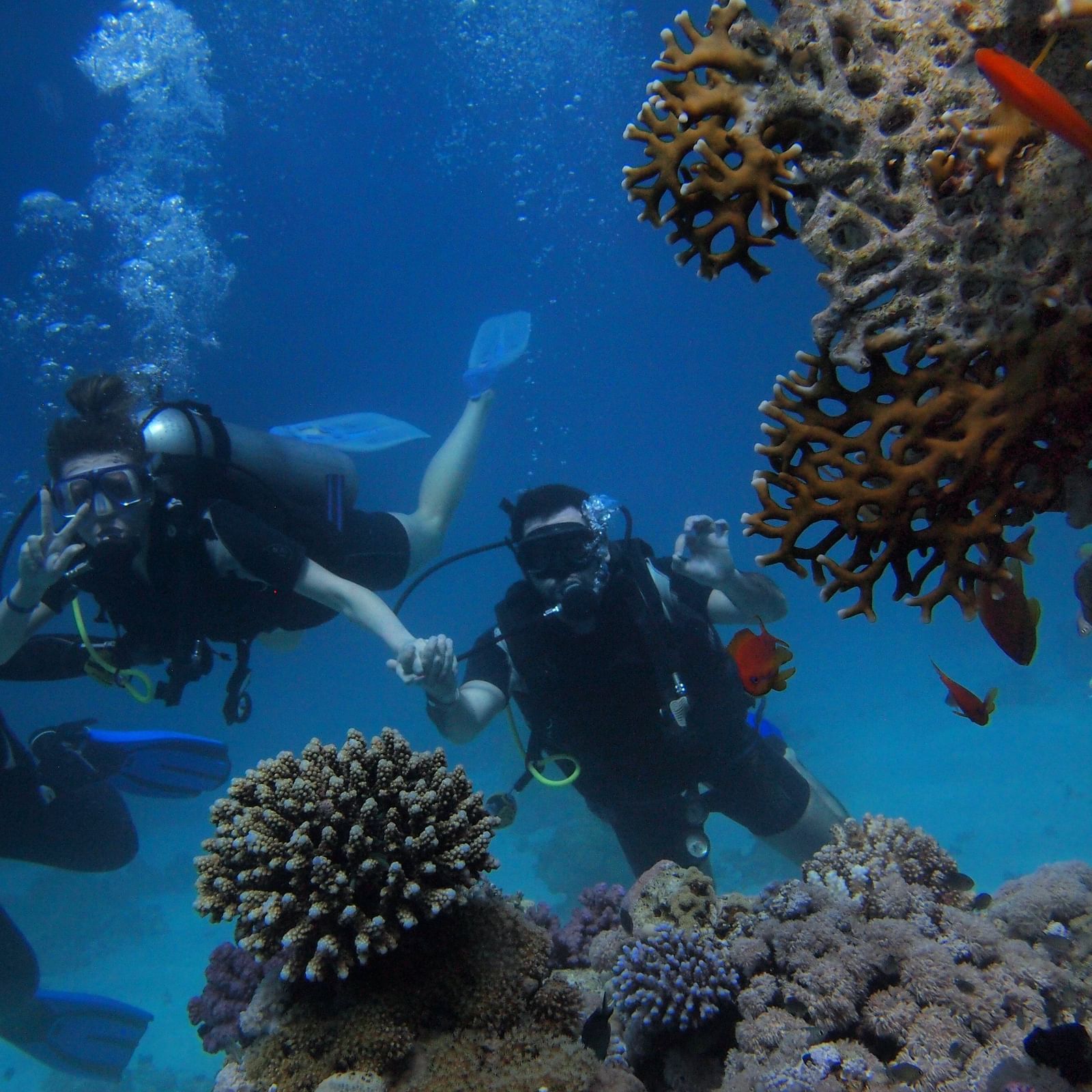 Scuba divers holding hands while exploring a coral reef underwater