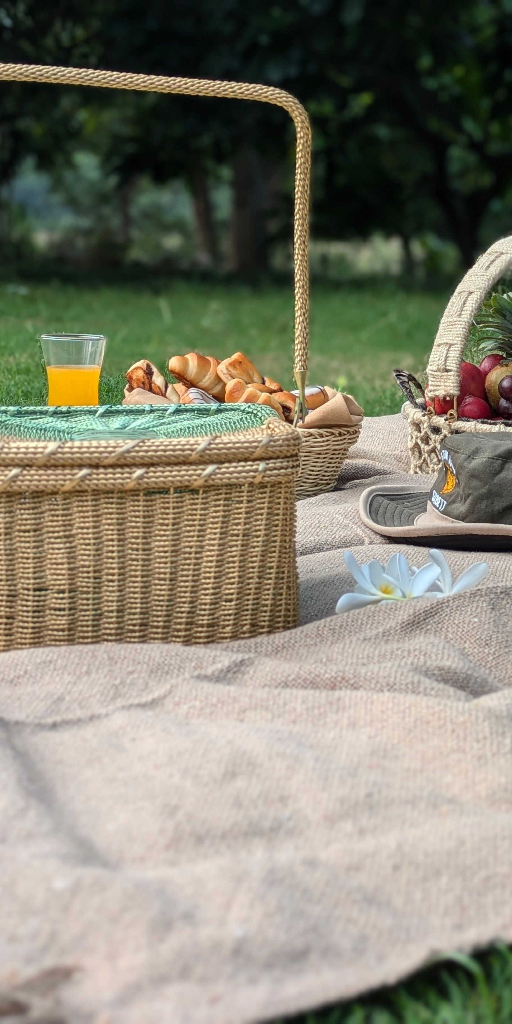 picnic