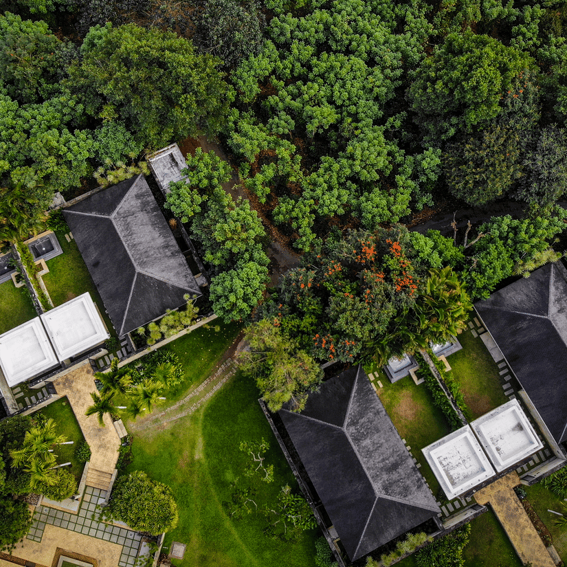Aerial view of Serai Chikmagalur surrounded by greenery and plants 