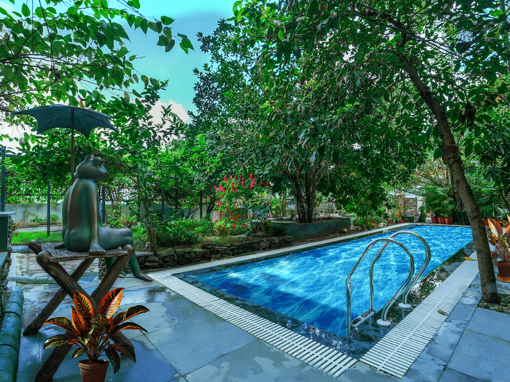 swimmimg pool bougainvillea