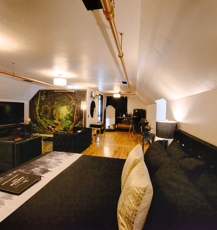 A wide-angle view of a cozy living room with a vaulted ceiling, wood floor, and modern furniture.
