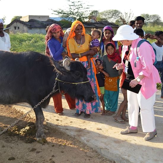 Umaid Palace Dausa  Village life at Kalakho 2