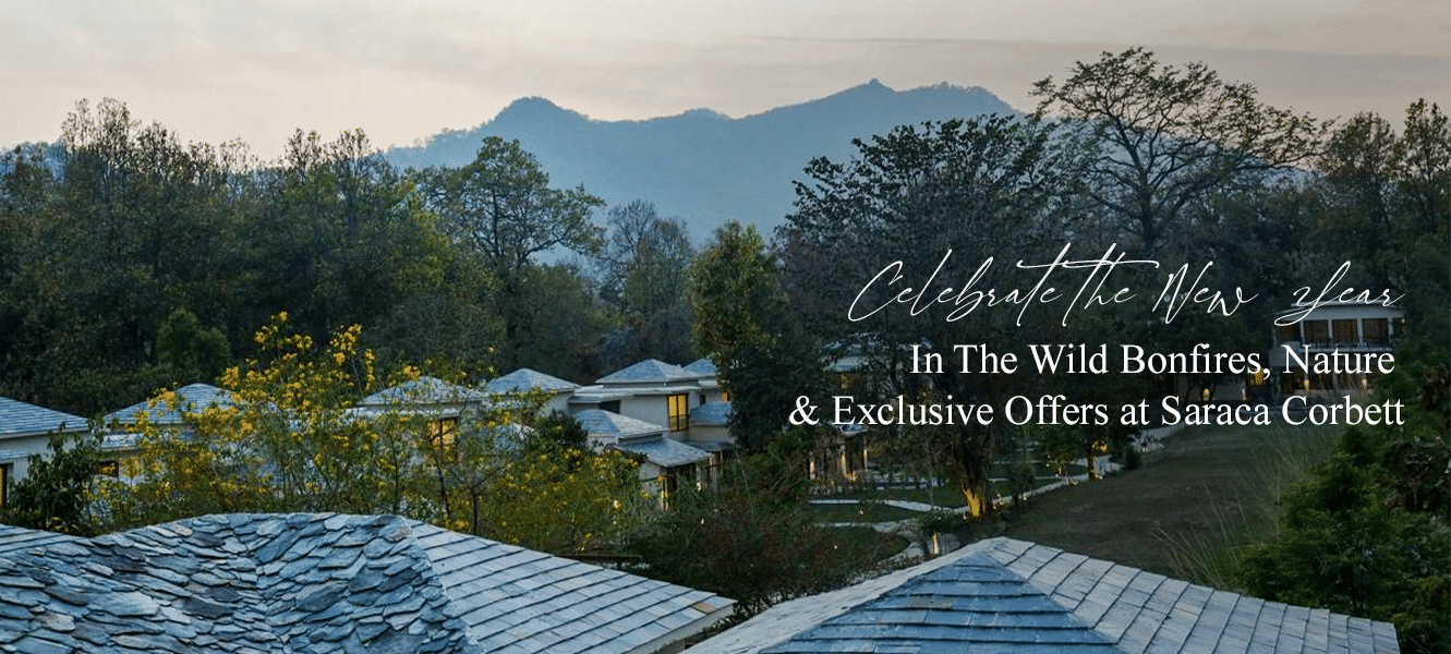 A rooftop view of a resort surrounded by lush green mountains, highlighting a serene and luxurious mountain escape, ideal for a New Year celebration at Saraca Corbett.