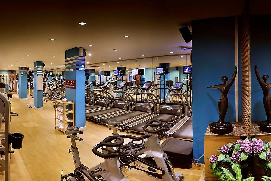 GYM 3