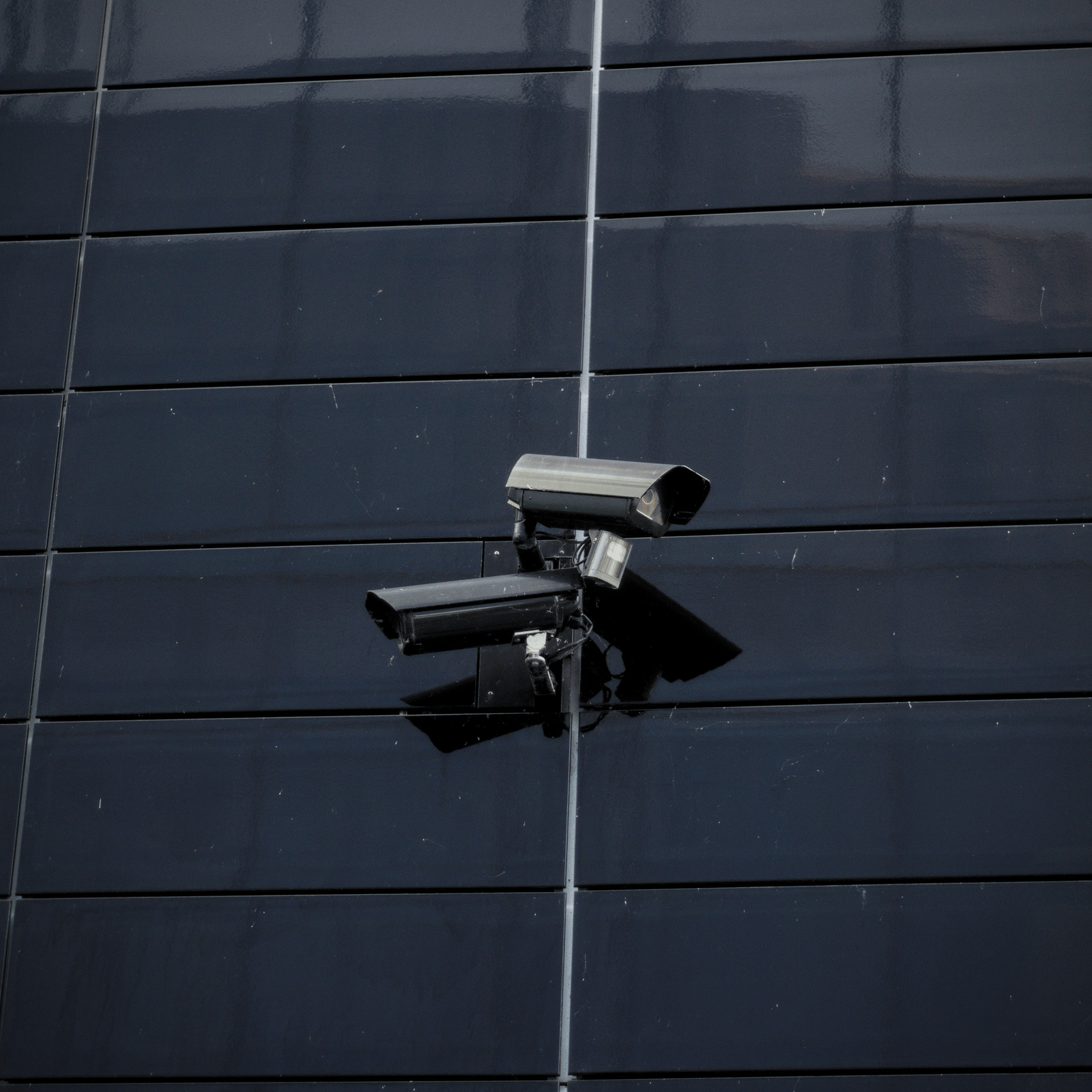 matthias-heil-znkIL3MQnvY-unsplash