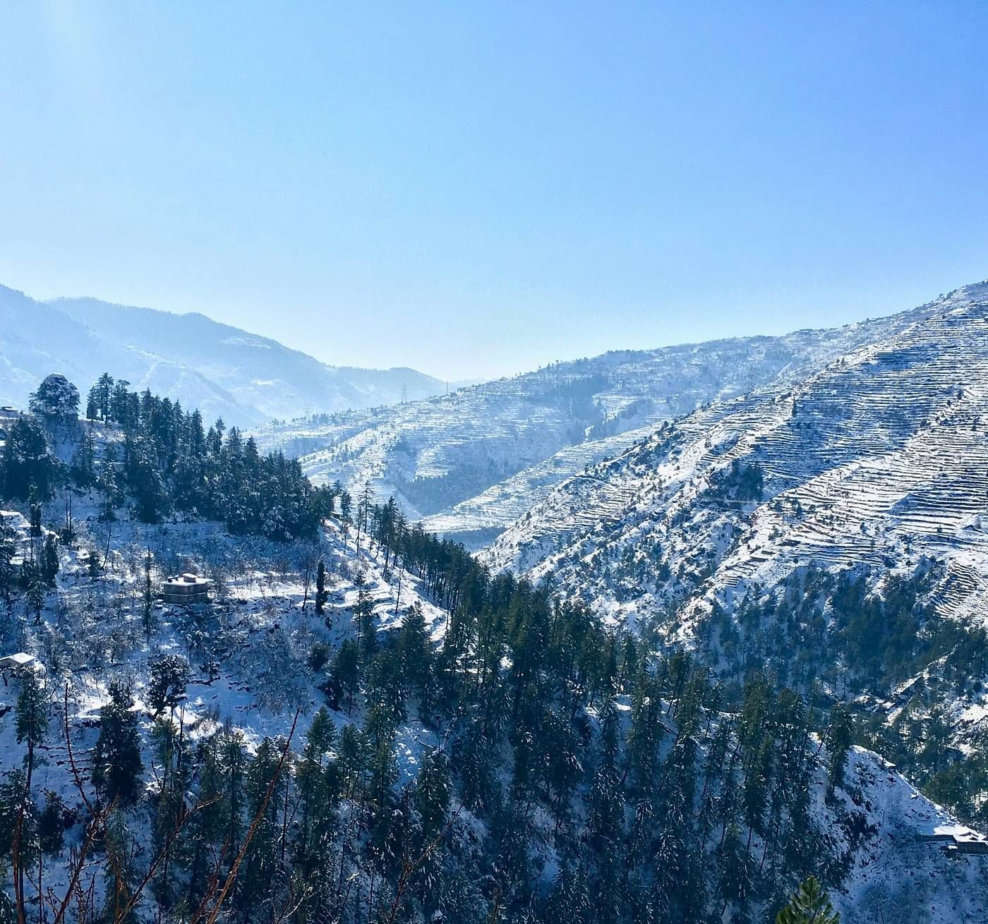 a beautiful landscape of shimla with covered with white snow with trees everywhere