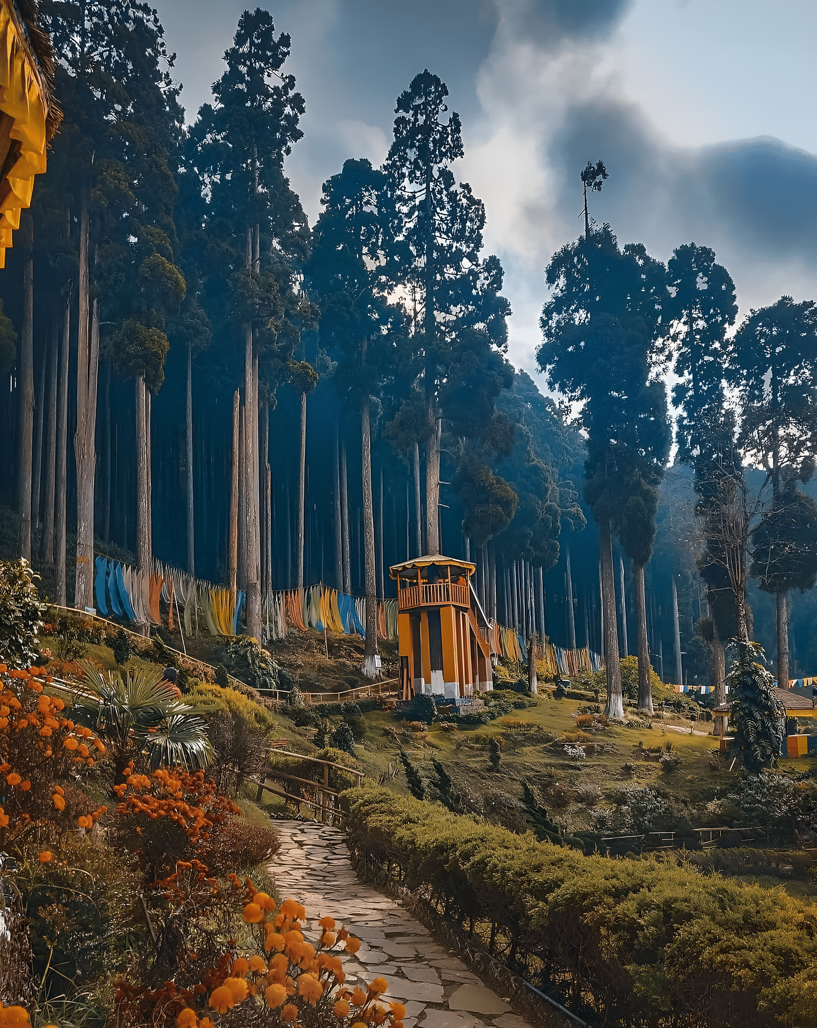 Lamahatta park in Darjeeling is a well-manicured garden surrounded by tall trees.