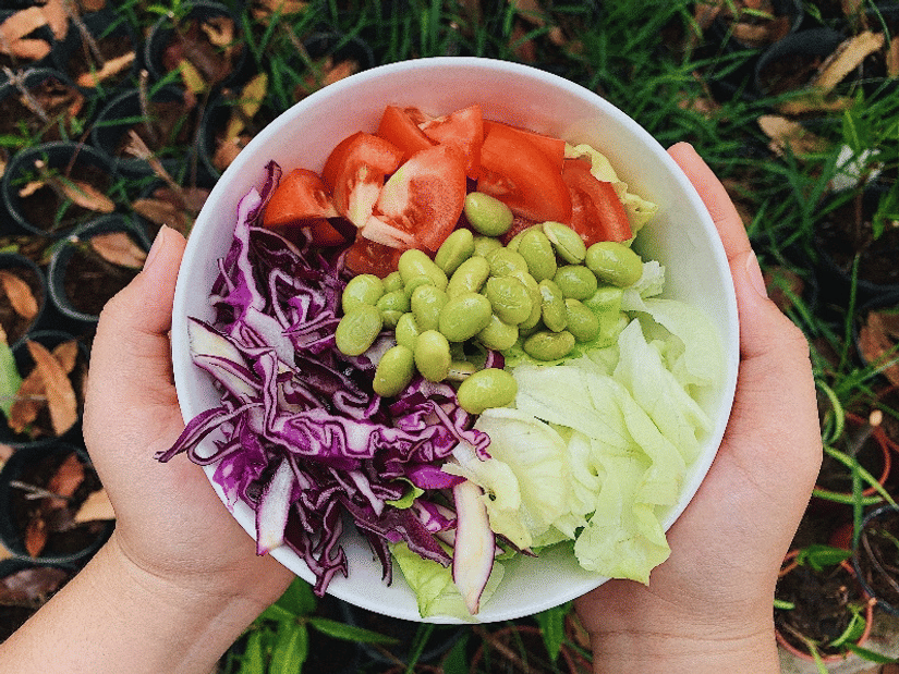Hands holding a bowl of salad with tomatoes, edamame, shredded red cabbage and lettuce