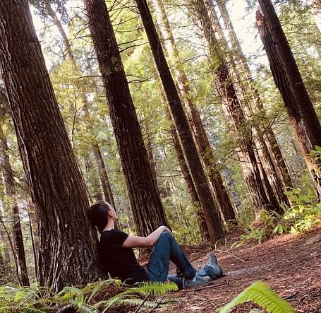 A person sitting on the forest floor, leaning against a tree amidst tall redwoods.