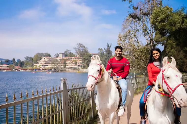 Horse Riding z2knxi