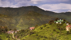 Scenic view of the Kumaon hills filled with green plants captured during the day - Ramgarh Bungalows, Nainital.