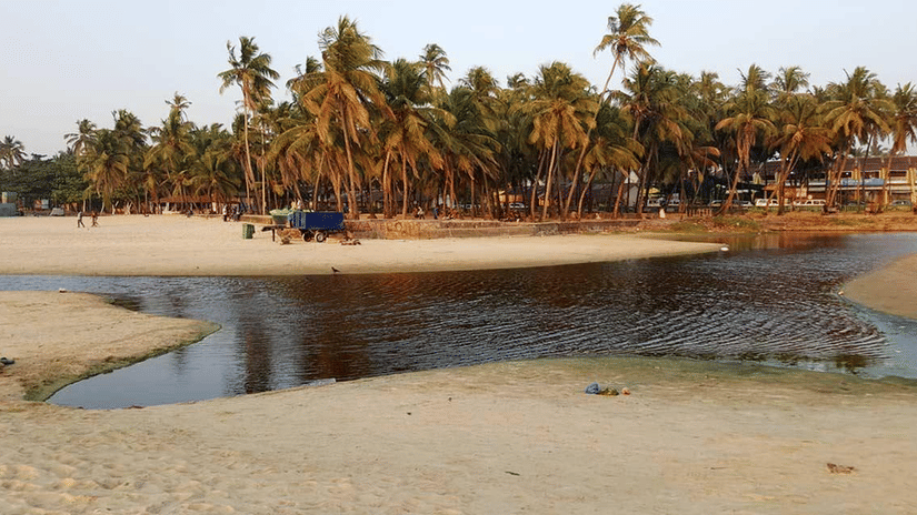 An overview of colva beach in goa with trees in the background, It is one of the best places for Water Sports Activities in Goa.
