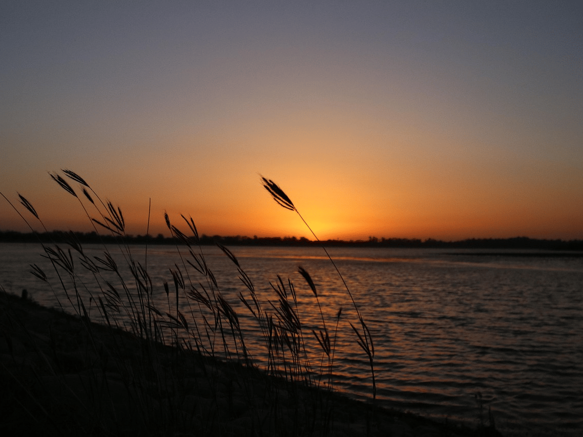 Tranquil golden sunset over calm waters with silhouetted birds in flight at Diamond Hotels Chandigarh.