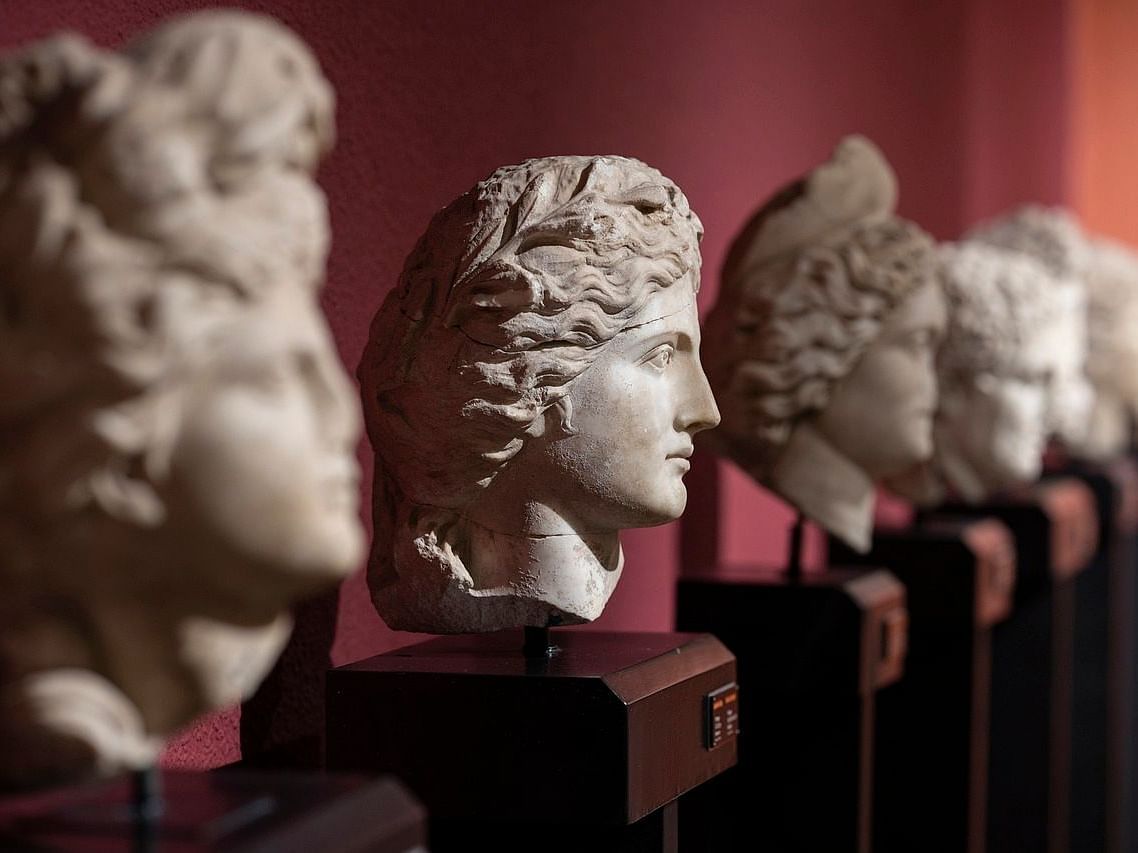 A row of ancient Roman busts displayed on a shelf.