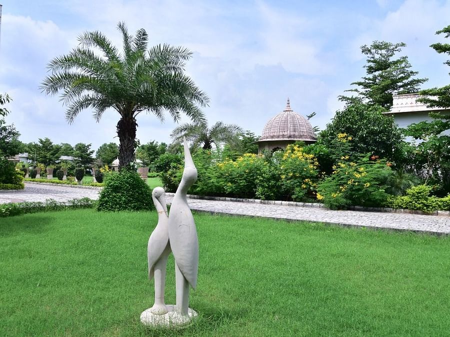A lawn area featuring swan sculptures - Clarks Safari, Ranthambore