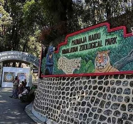 Padmaja Himalayan Zoological Park ilbxlc