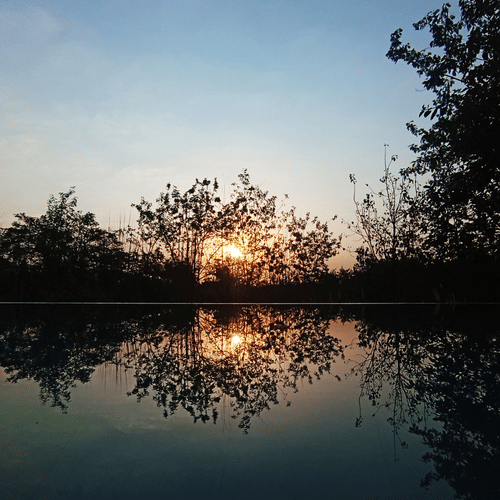 Calm lake reflecting trees at sunset, with the sky casting a warm glow on the water.