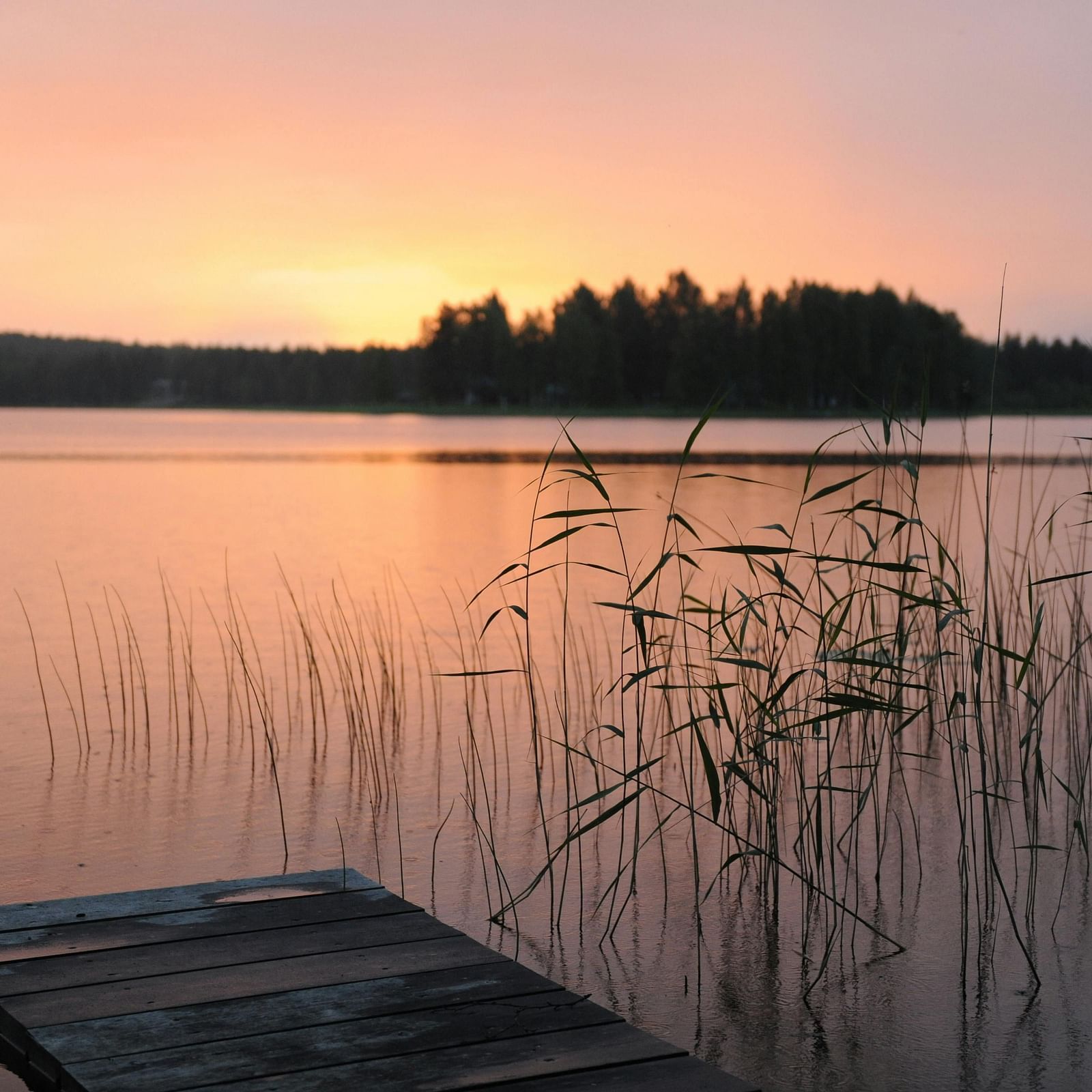 A serene sunset over a calm lake with a wooden dock in the foreground and silhouetted trees in the distance.