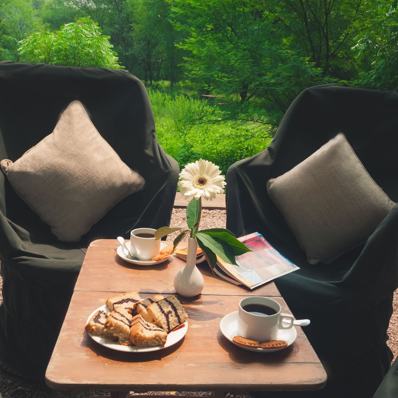 Cozy corners at Trees N Tigers, Sariska