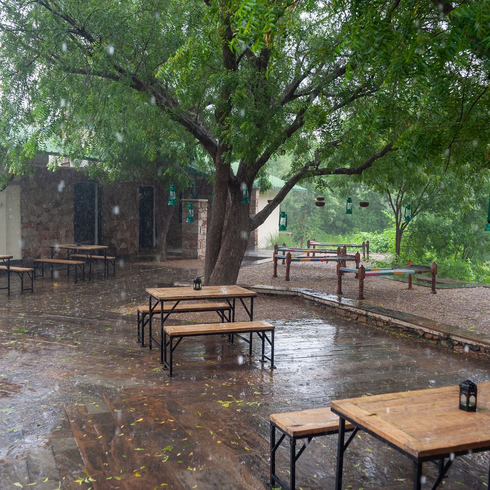Cozy corners at Trees N Tigers, Sariska