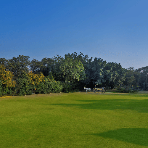 Horse-drawn carriage on a vast green lawn bordered by trees under a clear blue sky - Heritage Village Resorts & Spa.