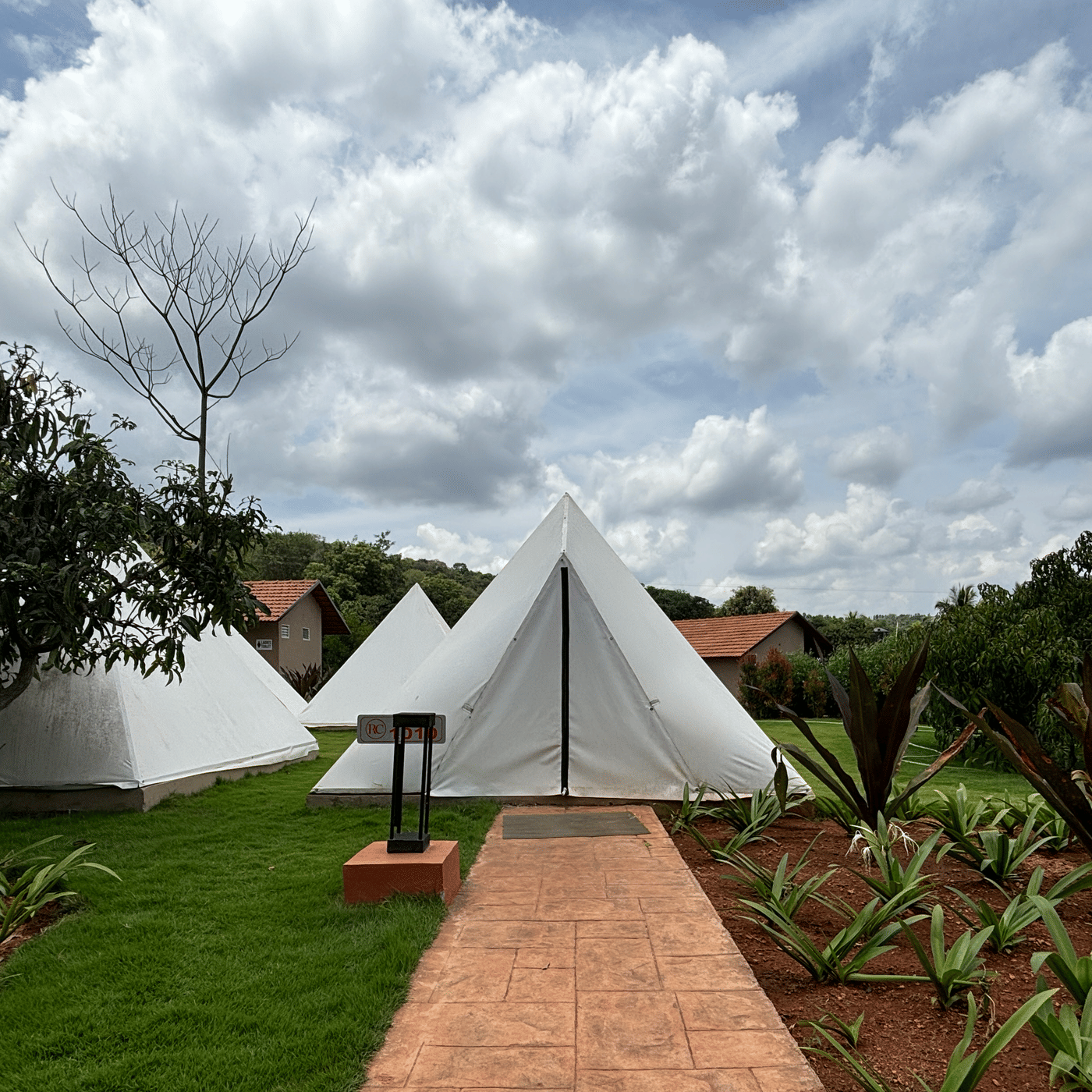 The Foxtail Family Tent Compound