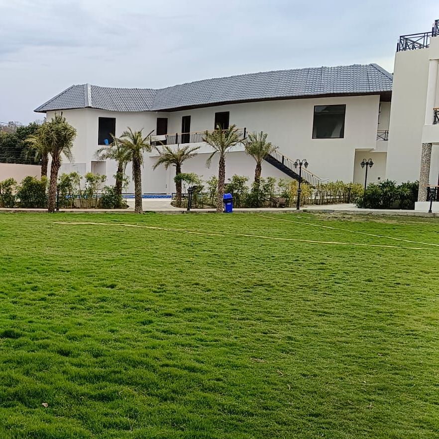 Lawn area of with green foliage and property beside -Shervani Pebbles & Pines, Corbett