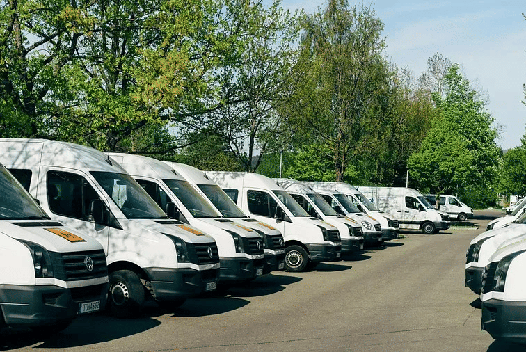 A row of white vehicles parked outdoors along a tree-lined road.