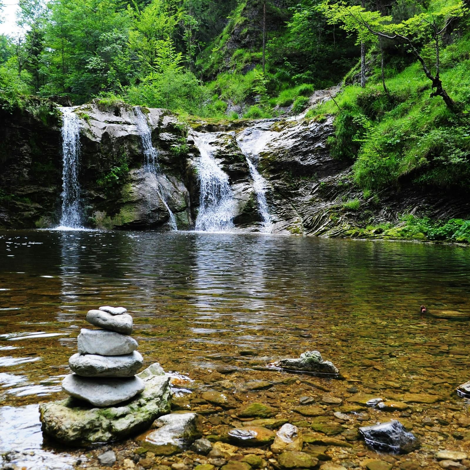 A waterfall surrounded by a forest.