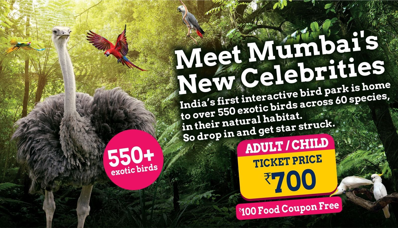 Attractions section banners-BP (1)