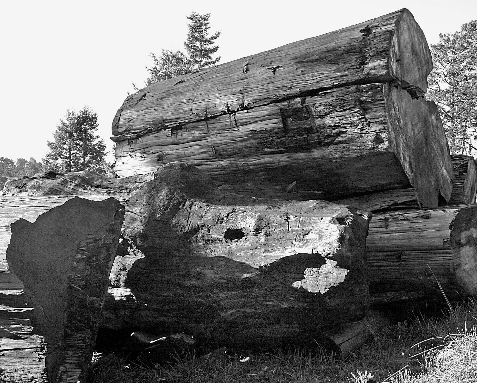 A black and white image of the sinker logs used in the construction of Brewery Gluch Inn & Spa