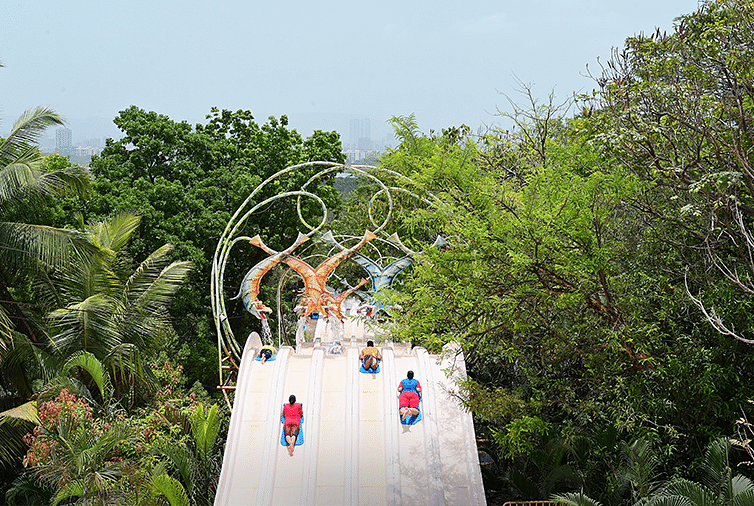 Water Kingdom - a zoomed out view of people on a water slide with trees surrounding at out water park