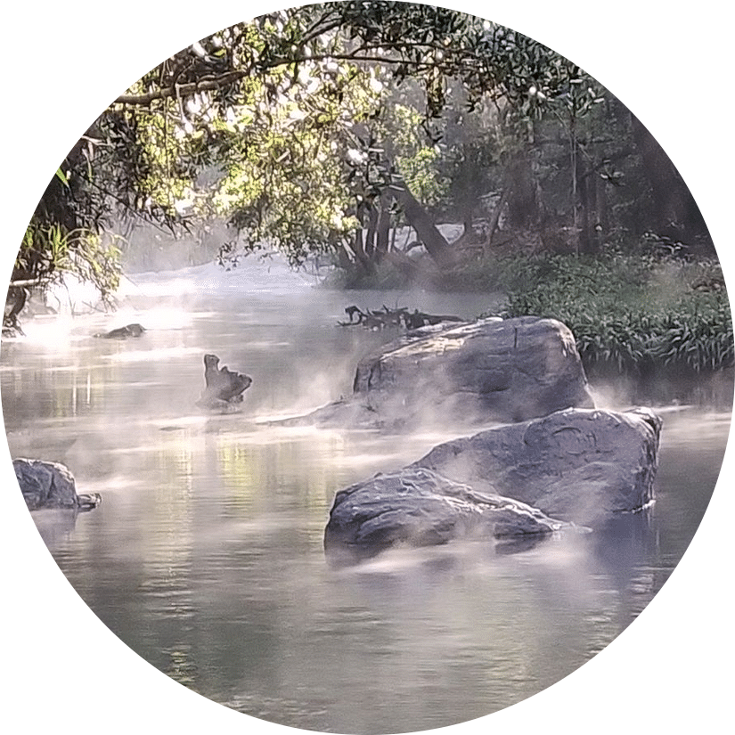 Steam rising above a forest river-Amanvana Spa Resort, Coorg - Luxury Resort