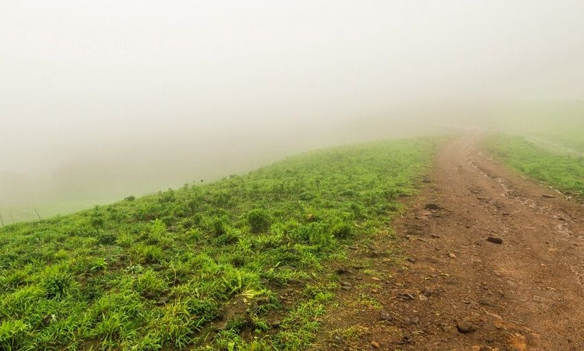 Muddy path winding through a foggy green hillside.