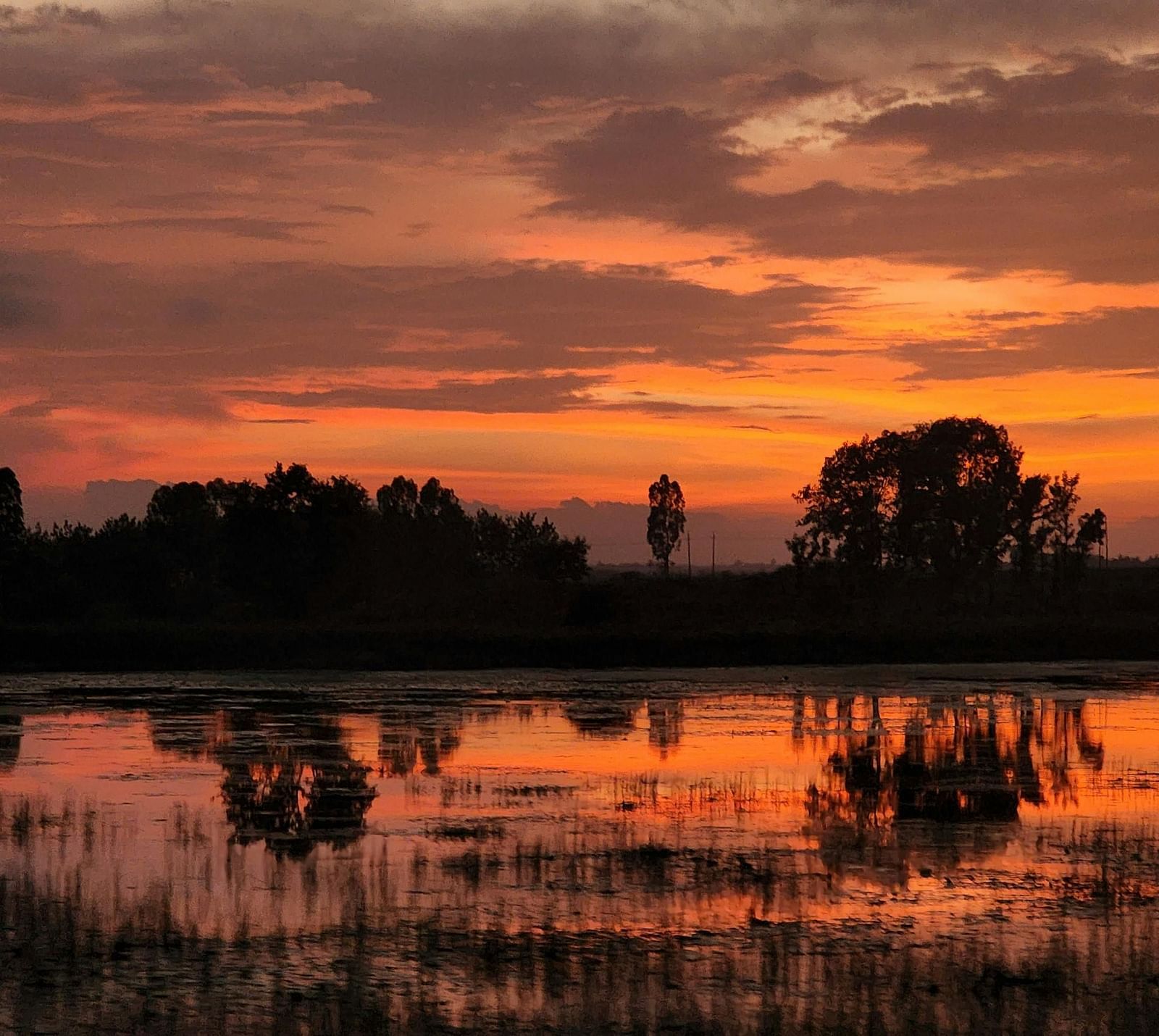 A serene sunset with orange and pink hues reflecting on the calm water, with silhouetted trees lining the horizon.