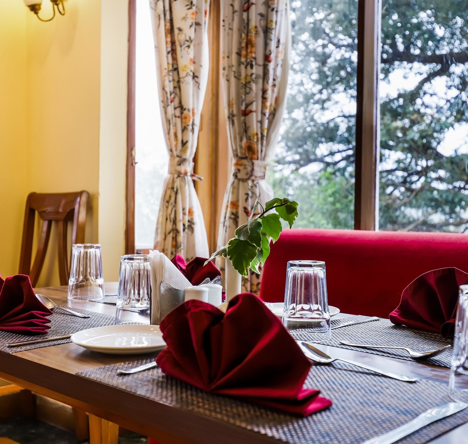 Green Leaf Restaurant at Summit Le Royale Hotel, Shimla3