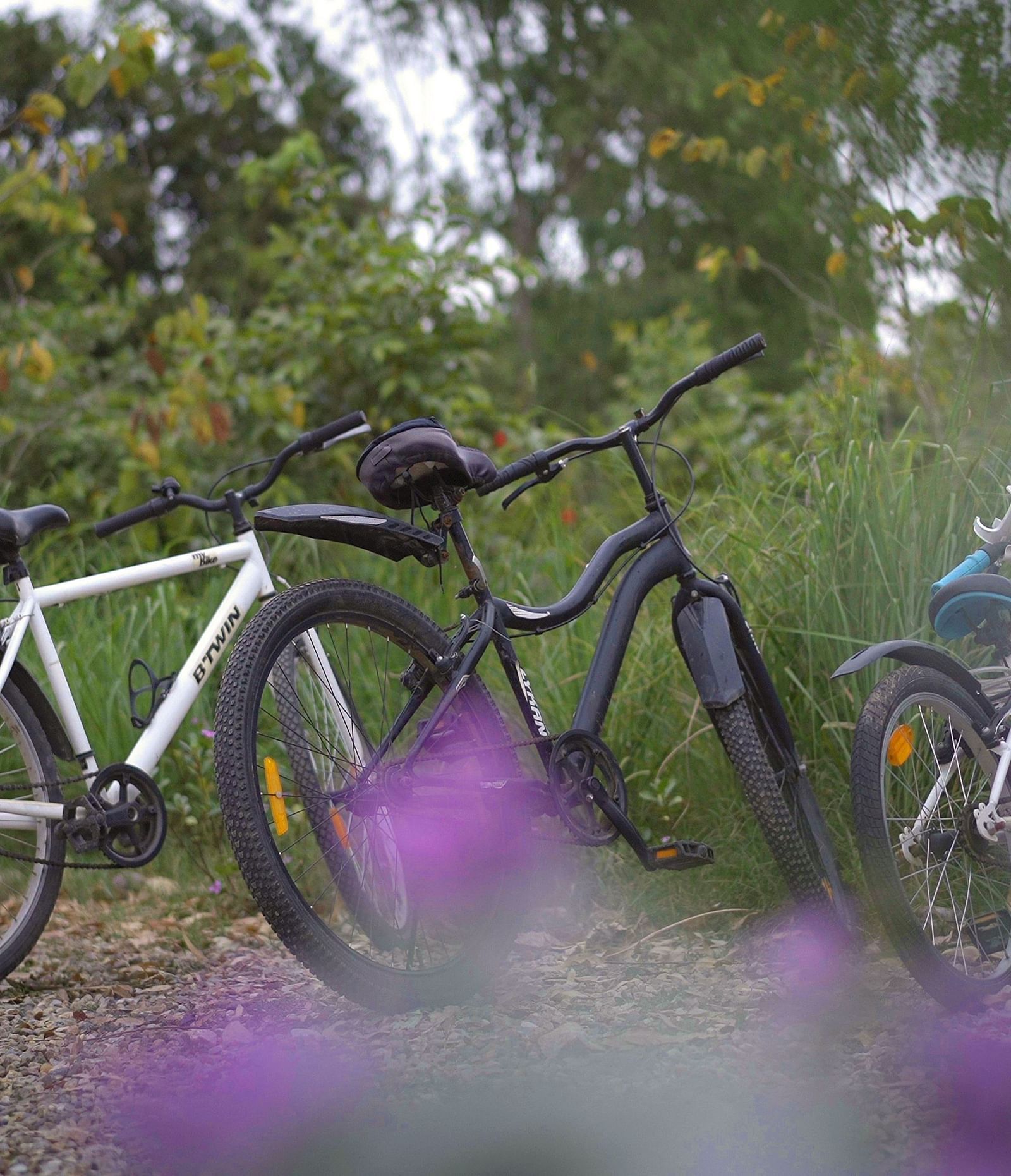 An image of three bicycles placed in a lush green setting - Claridges Collection
