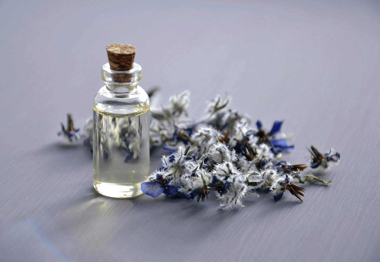 Small bottle of essential oil with dried lavender flowers on a grey surface.