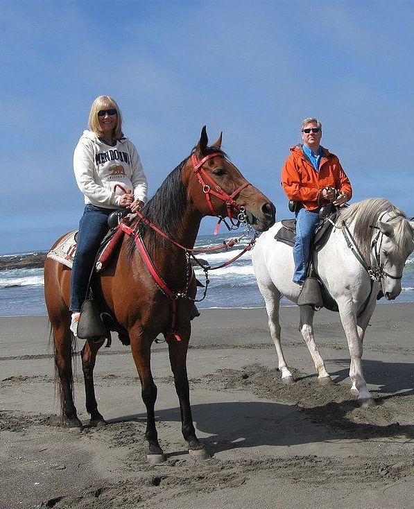 A couple riding on horses on a shore line with the ocean in the background - Brewery Gluch Inn & Spa