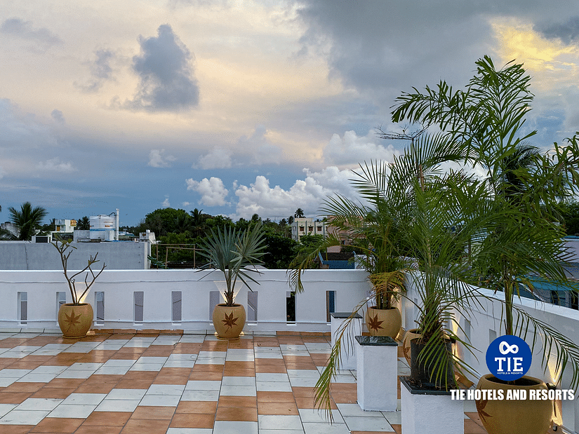 Terrace (2)