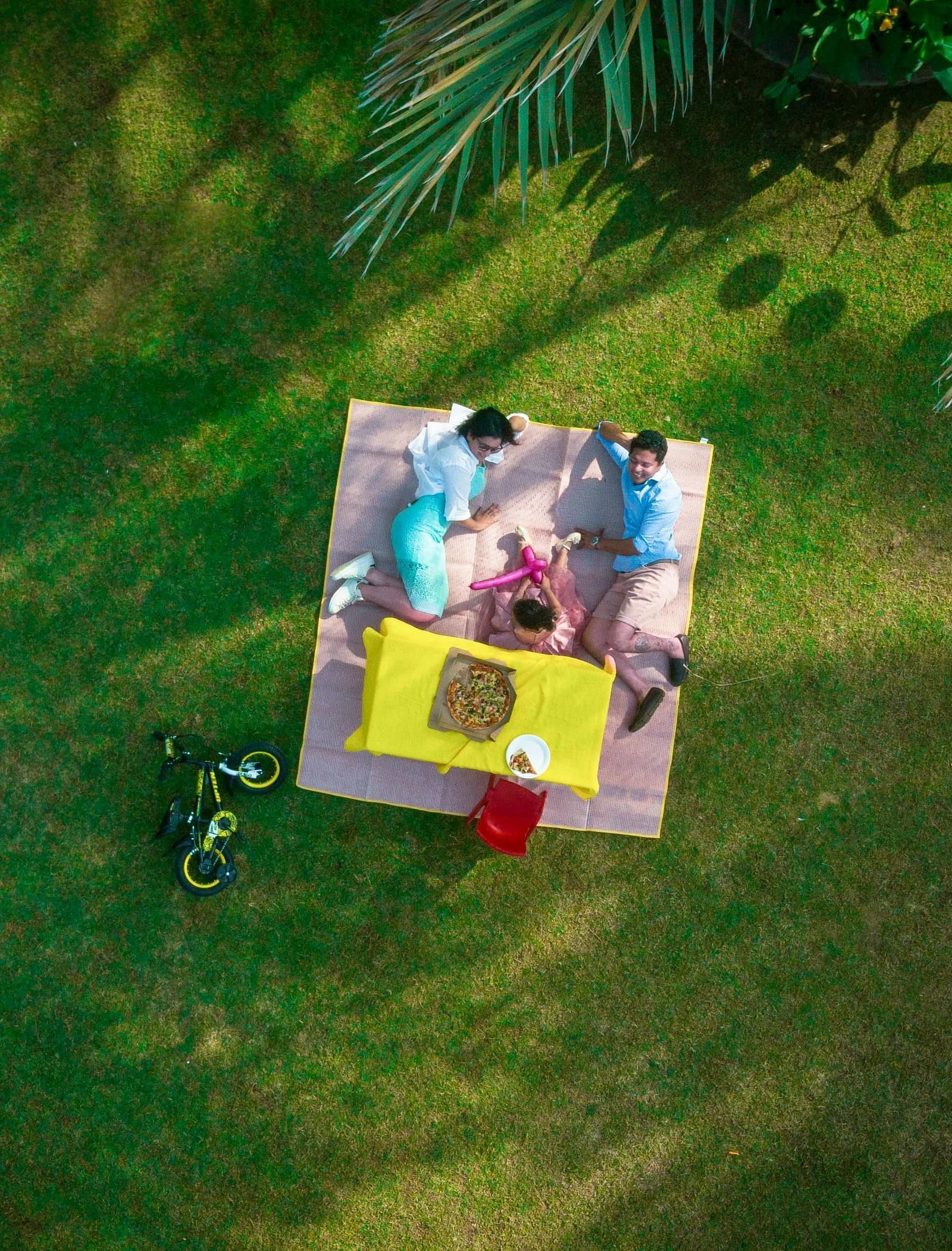 Two people lying on a blanket under a tree in a garden.