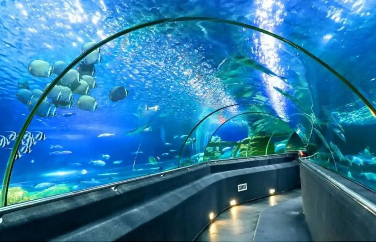Underwater tunnel with arched viewing panels, showing fish and aquatic environment.