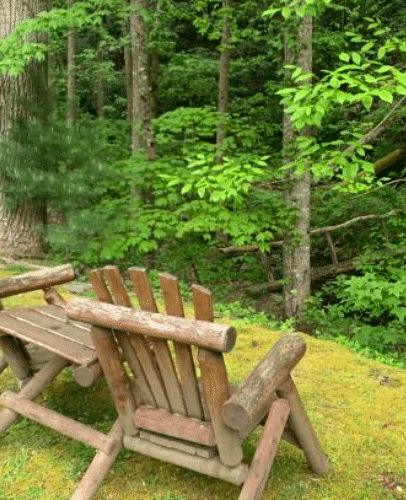 two wooden chairs perched upon a slightly elevated ground overlooking the lush green forest in front of it - Historic Tapoco Lodge