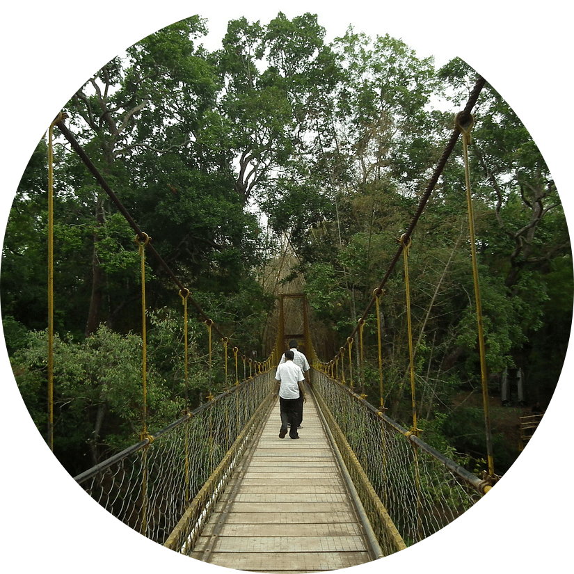 Two people walking on a hanging bridge nestled in the lush jungle near Amanvana Resort & Spa
