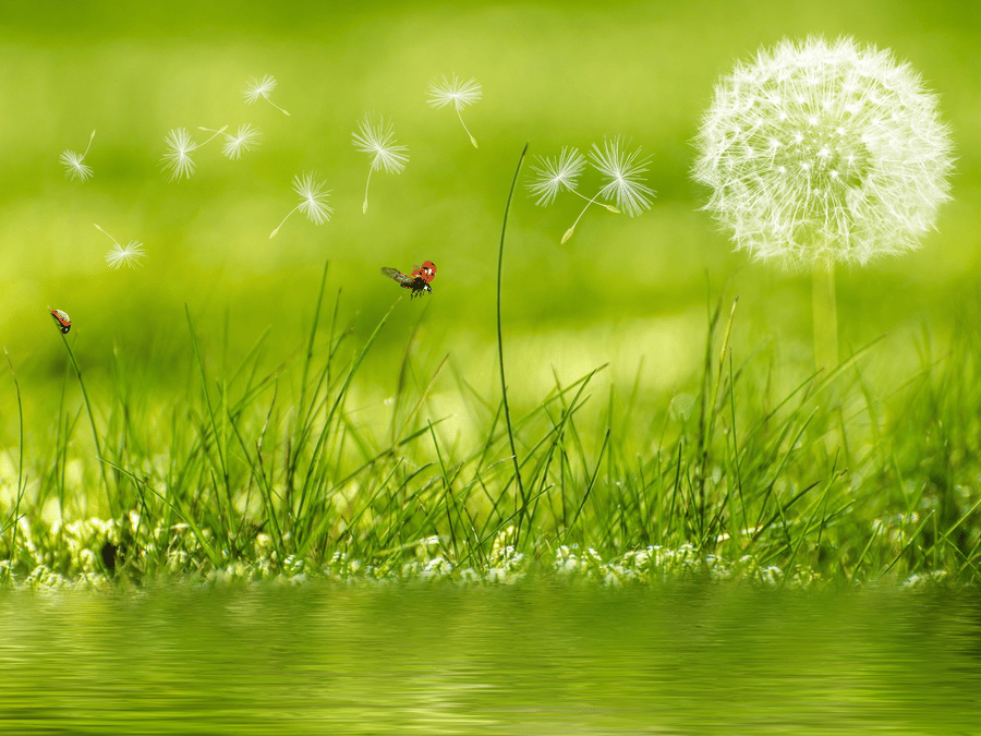 background-image-beautiful-blur-414586