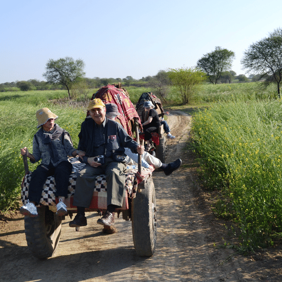 Camel Cart Ride at Umaid Palace Hotel Kalakho Dausa Rajasthan