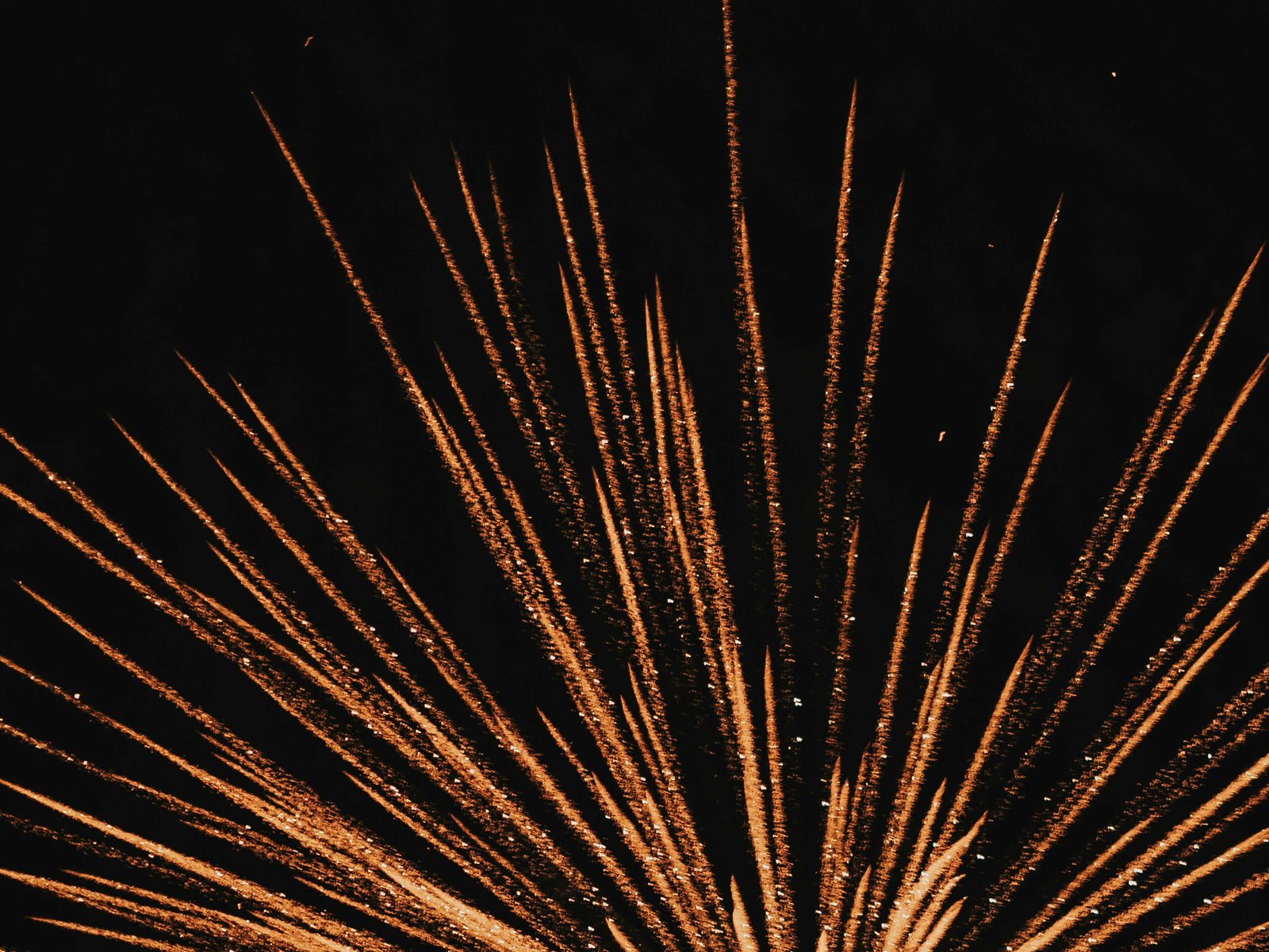 A cracker bursting caught mid-air at night.
