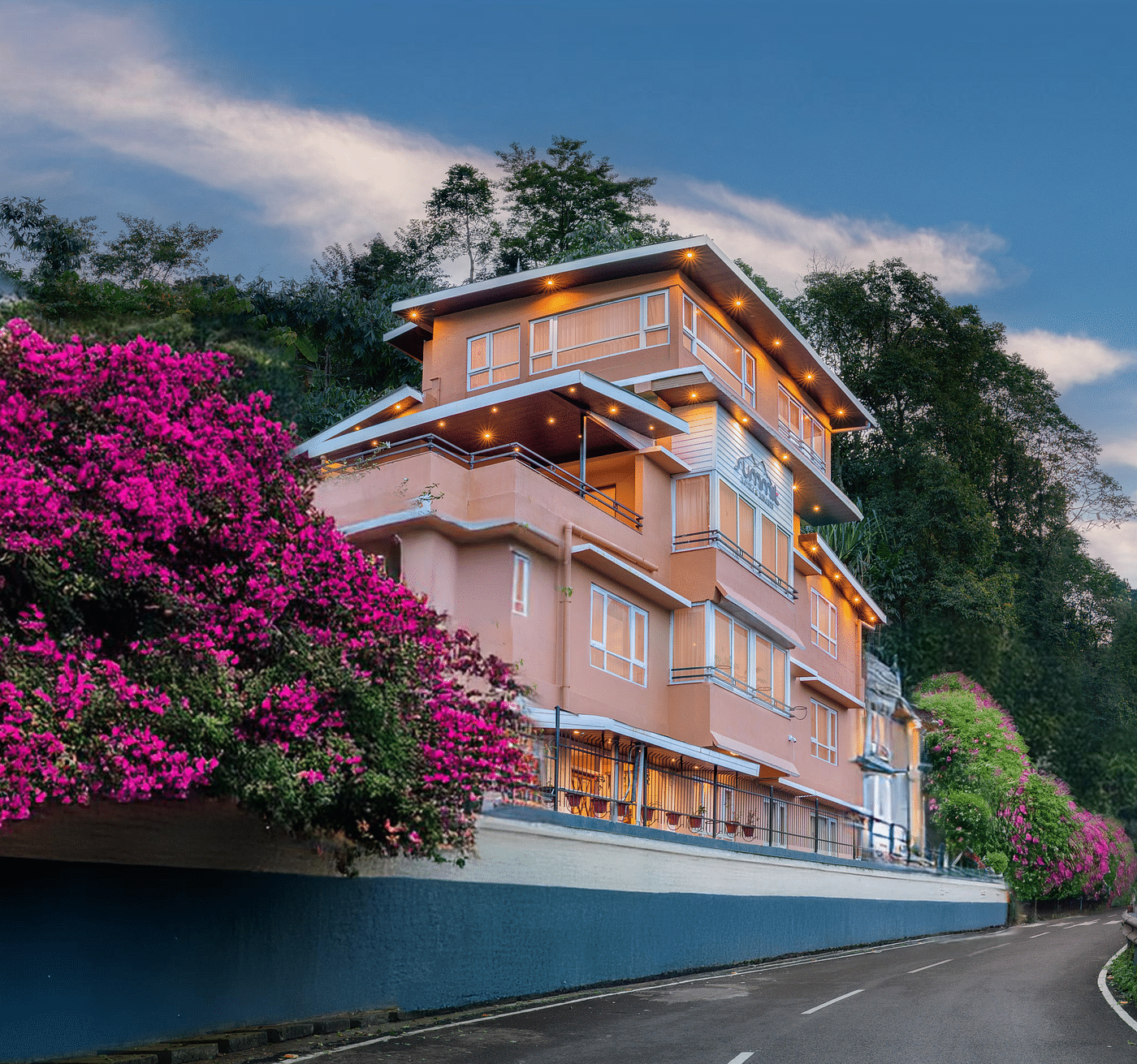 Bougainvillea