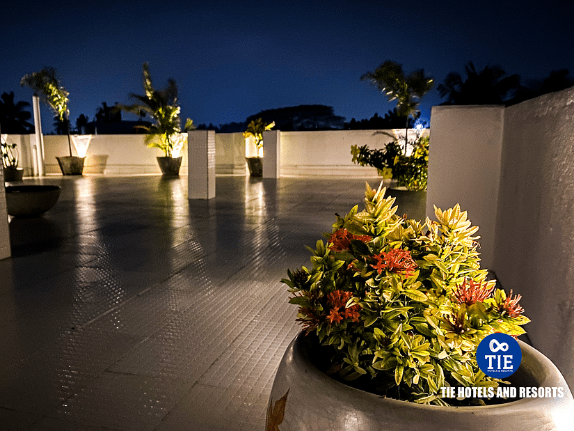 Terrace 2