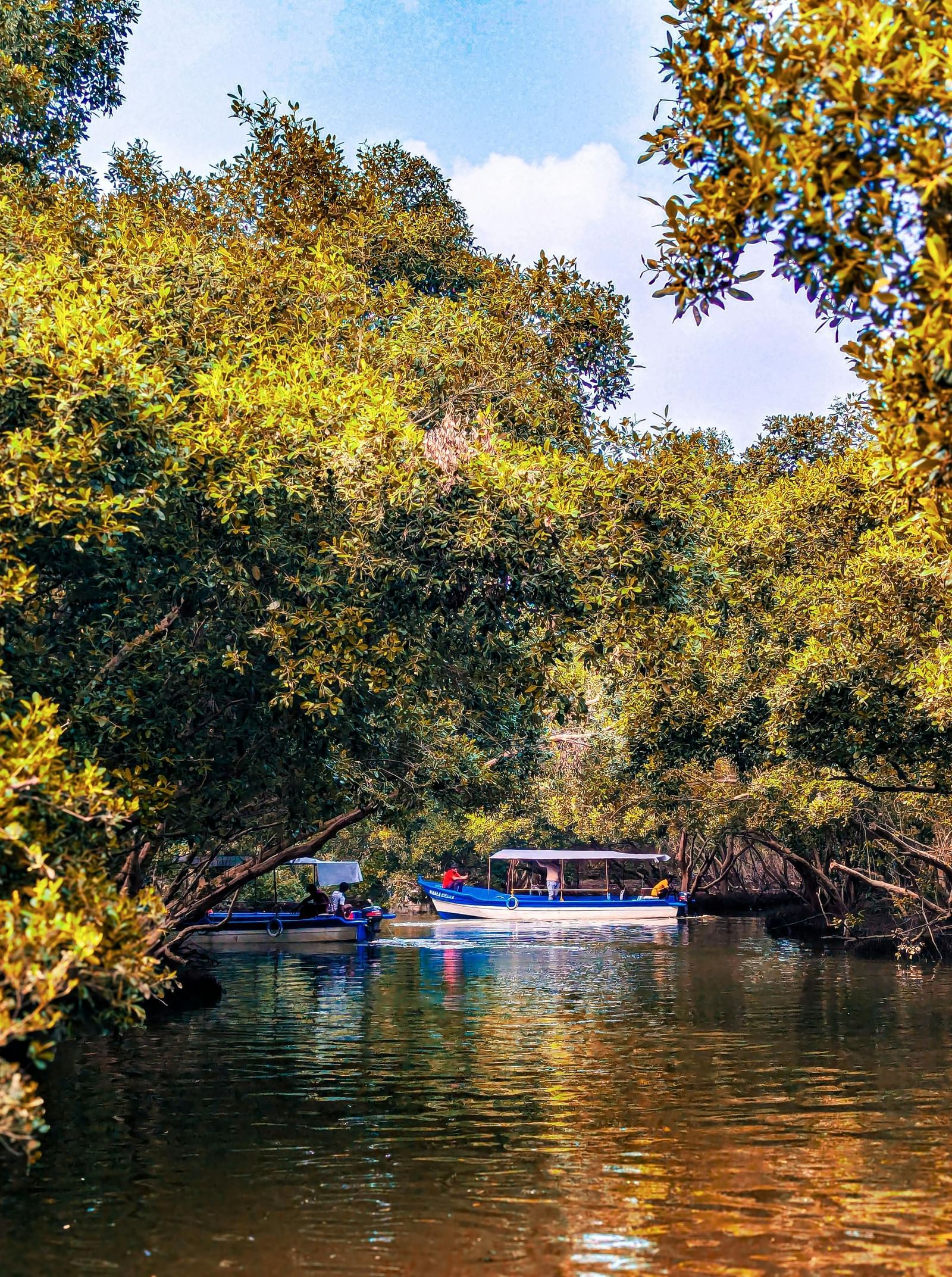 A motor boat sailing through a river with crystal-clear waters surrounded by lush green forests.